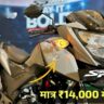 New Honda SP 160 2025